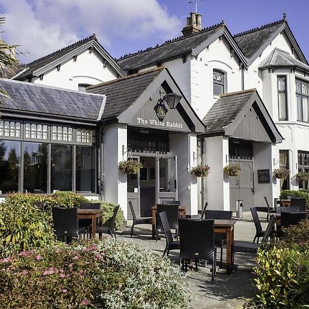 White Rabbit By Chef & Brewer Collection Hotel Lyndhurst Exterior foto